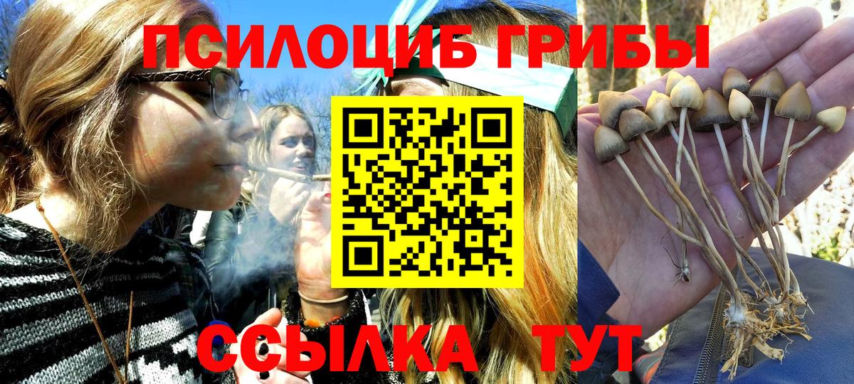 Псилоцибиновые грибы мицелий Кириши